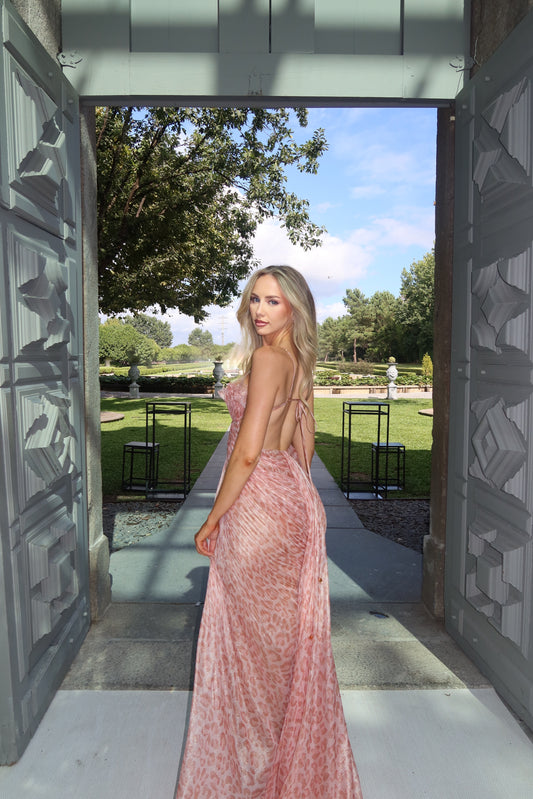 Maria Lucia Hohan Anemona Dress